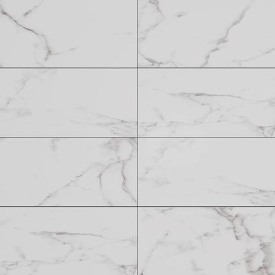 Statuary White 12x24 Unpolished