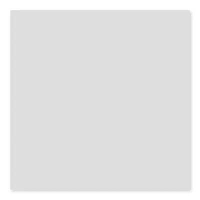 Color Collection Matte Tender Gray 6x6 RC Corner