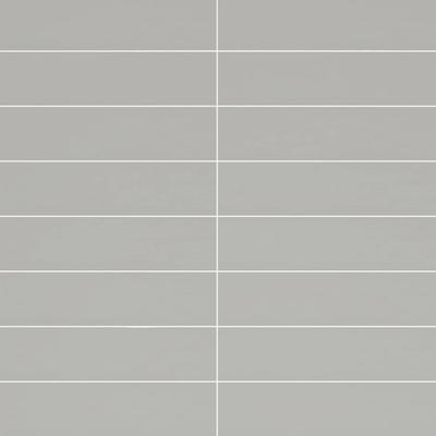 Color Collection Bright Neu Gray 4x12