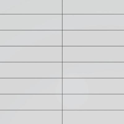 Color Collection Bright Tender Gray 2x8
