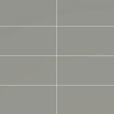 Color Collection Bright Taupe 3x6