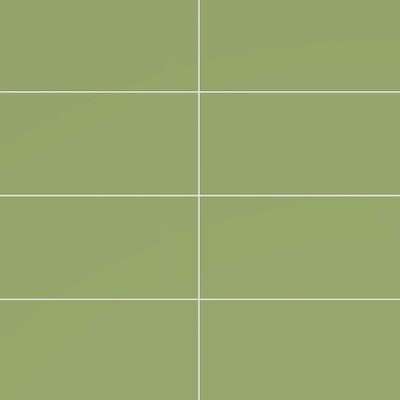 Color Collection Bright Spring Green 3x6