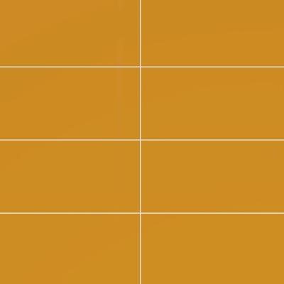 Color Collection Bright Mustard 3x6
