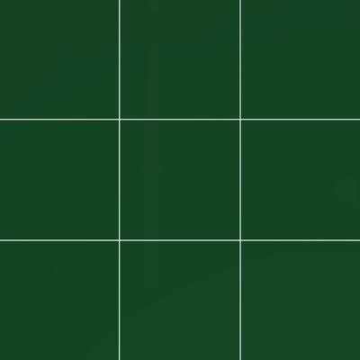 Color Collection Bright Kelly 4-1/4 x 4-1/4