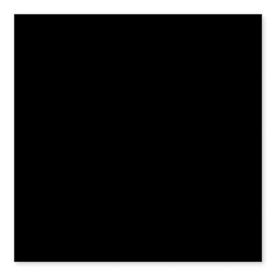 Color Collection Bright Black 2x6 RAD Bullnose