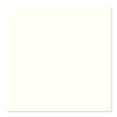 Color Collection Bright Biscuit 2x8 Single Bullnose