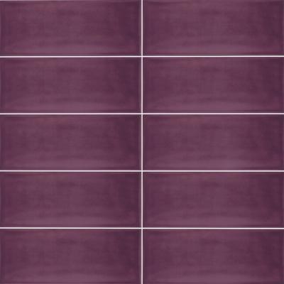Joy Burgundy 4x10