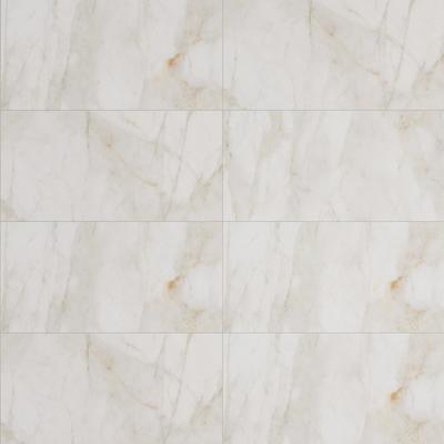Marble Dolomita White 24x48 R
