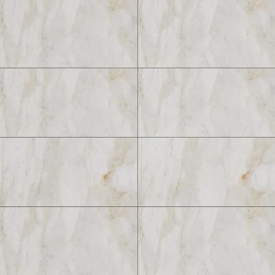 Marble Dolomita White 12x24 R