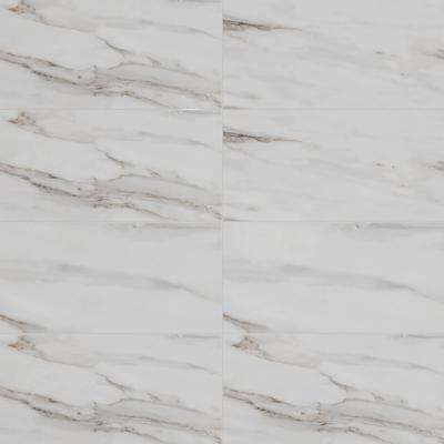 Calacata Gold Polished 12x24 R
