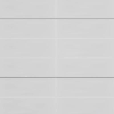 Winter Blanco 8x24