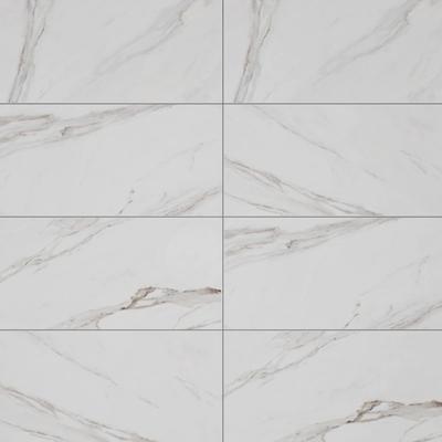 Calacatta Savoy Rec 24x48 Field