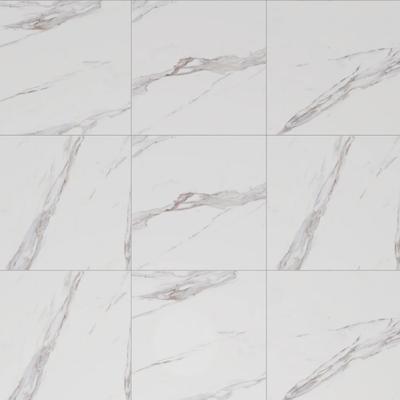 Calacatta Rec 24x24 Field