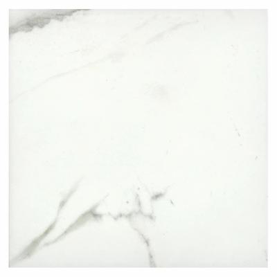 Aquabella Stone Age Calacatta 6x6 Porcelain Field Tile Pool Tile