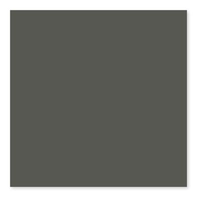 Color Collection Bright Dark Gray 3x6