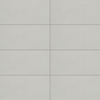 Pro Ivory Polished 24x48 R