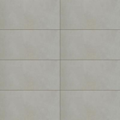 Pro Cement Unpolished 24x48 R