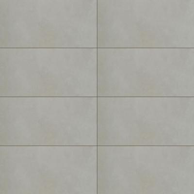 Pro Cement Unpolished 12x24 R