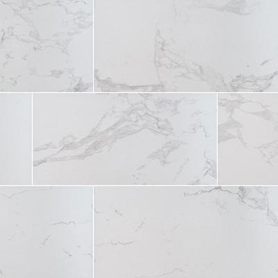Praia Carrara Field Tile 24x48 Polished