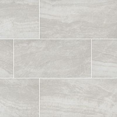 Praia Grey Field Tile 24x48 Polished