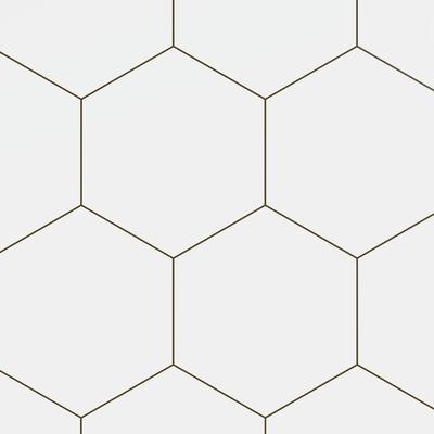 Block Hexagon Blanco Matte 5x6