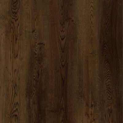 Whisper Woods Lite Madagascar Oak T-mold
