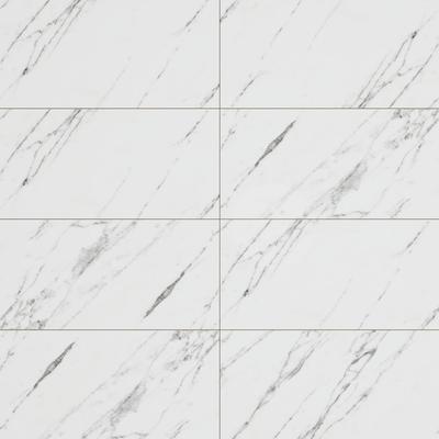 Venato 12x24 R Polished