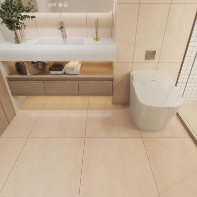 Abaco Arena 24x48 Rectified - Hover
