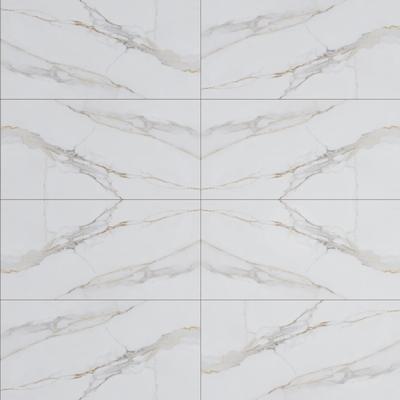 Marble Calacatta Oro Polished 24x48 Rectified