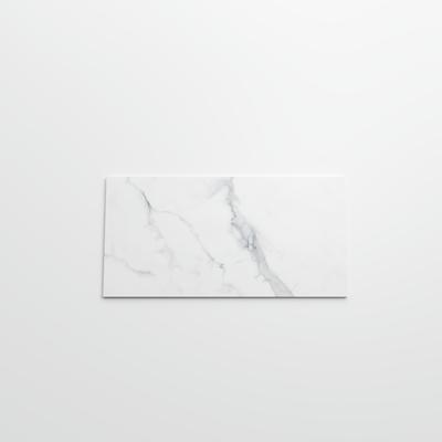 Bianco Venatino Polished 12x24 R - Hover