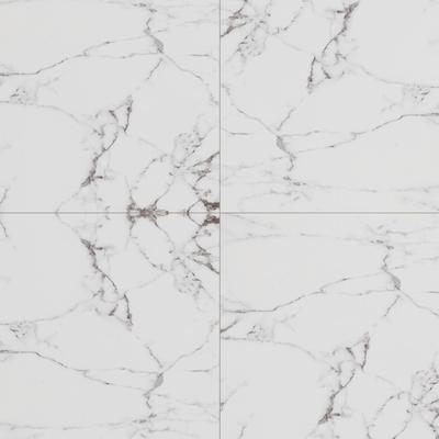 Statuary White 24x24 Rectified Unpolished