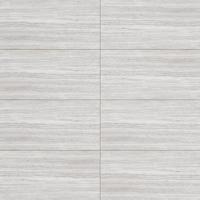 Trevi Silver 12x24