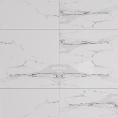 XL Slabs FS FS Bianco Reale C Polished 63x126 Rectified