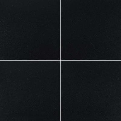 MSI Premium Black 12x12 Honed