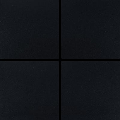 MSI Premium Black 12x12 Polished