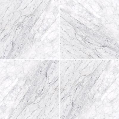MSI Carrara White (c) 18x18 Honed
