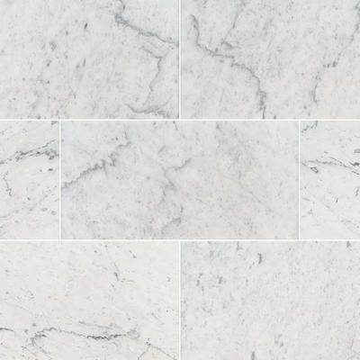 MSI Carrara White 12x 24 Polished