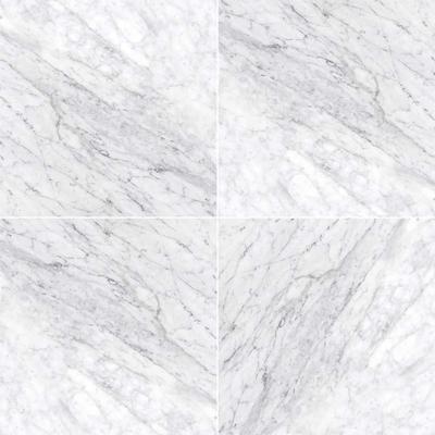 MSI Carrara White (c) 12x12 Honed