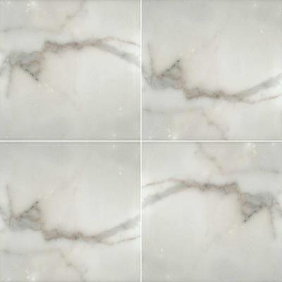 MSI Calacatta Gold 12x12 Polished