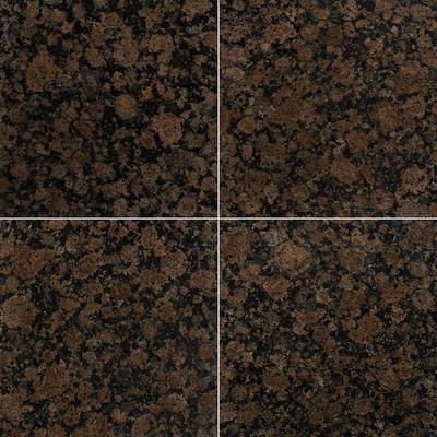 MSI Baltic Brown 12x12 Polished
