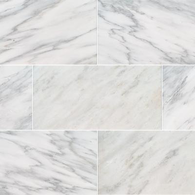 MSI Arabescato Carrara 12x24 Polished