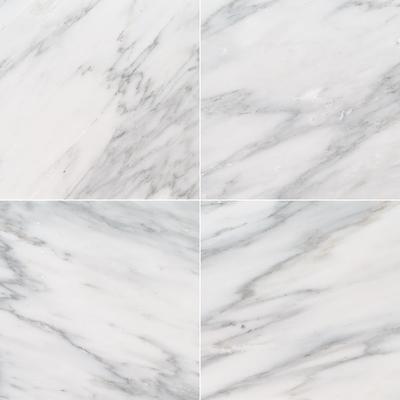 MSI Arabescato Carrara 12x12 Polished