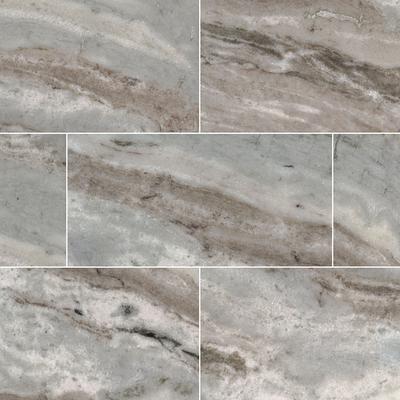 MSI Fantasy Brown 12x24 Polished