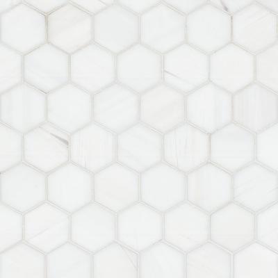 MSI Bianco Dolomite Hexagon Mosaic