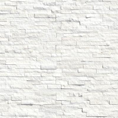 MSI Arctic White Panel