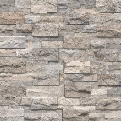 MSI Silver Travertine Panel