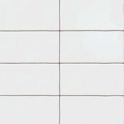 Maiolica Bright White 3x6