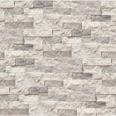 Silver Galaxy Split Face 6x24 Ledger Panel Flats