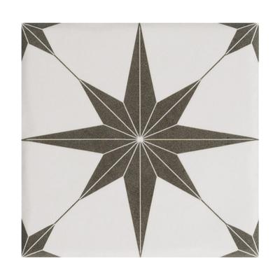 Aquabella Beachfront Laguna Star 6x6 Porcelain Pool Tile