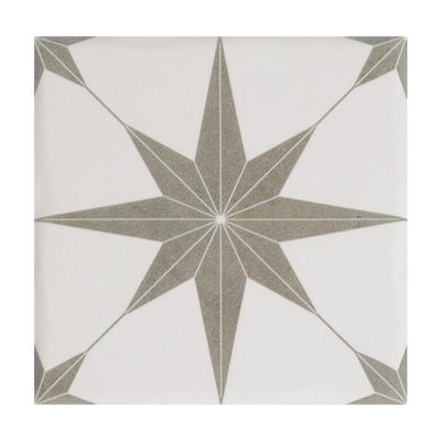 Aquabella Beachfront Palisades Star 6x6 Porcelain Pool Tile